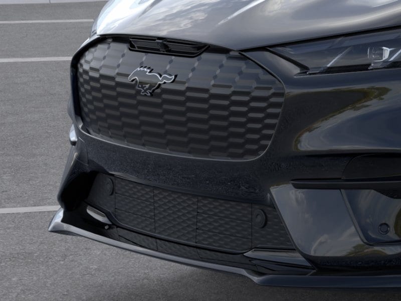 2025 Ford Mustang Mach-E GT - Photo 17