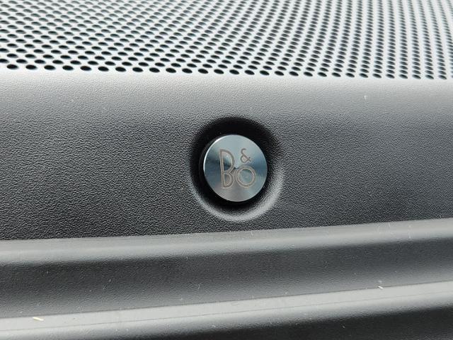 2025 Ford F-250 Super Duty King Ranch - Photo 41