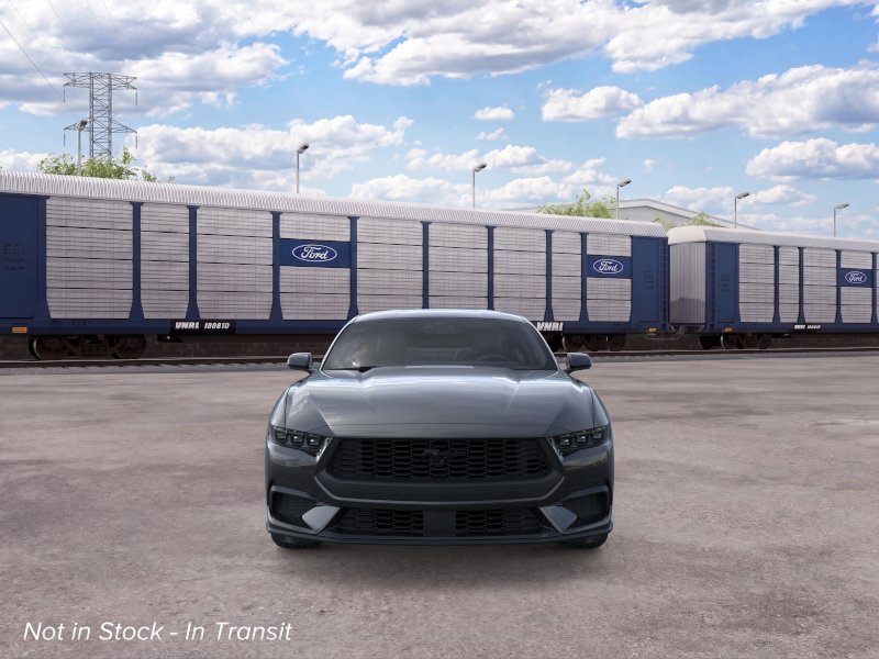Mustang