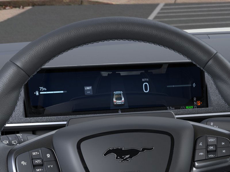 2025 Ford Mustang Mach-E GT - Photo 13