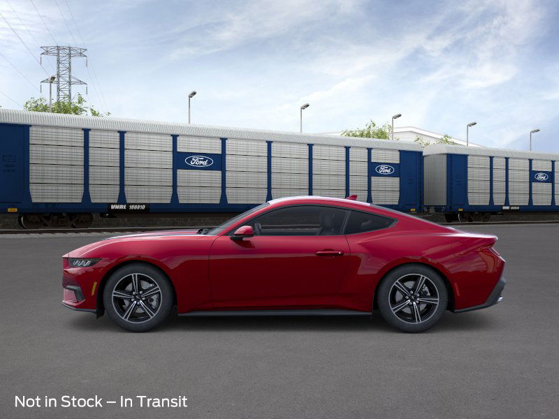 2025 Ford Mustang EcoBoost photo 3