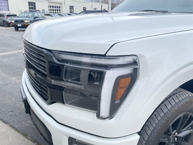 2025 Ford F-150 Platinum - Photo 74