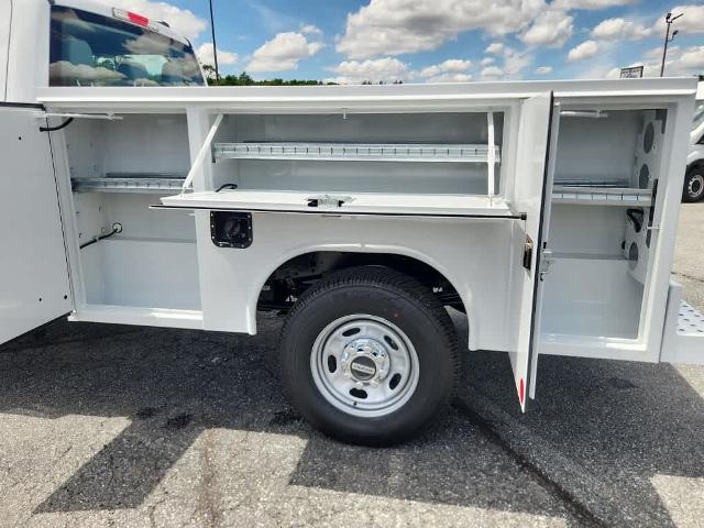 2025 Ford Super Duty F-250 SRW F-250 XL