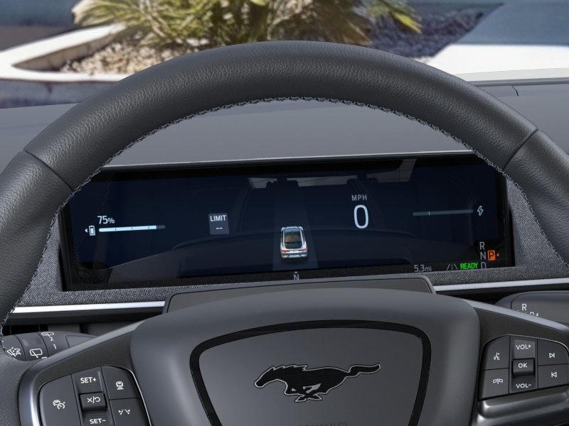 2025 Ford Mustang Mach-E GT - Photo 13
