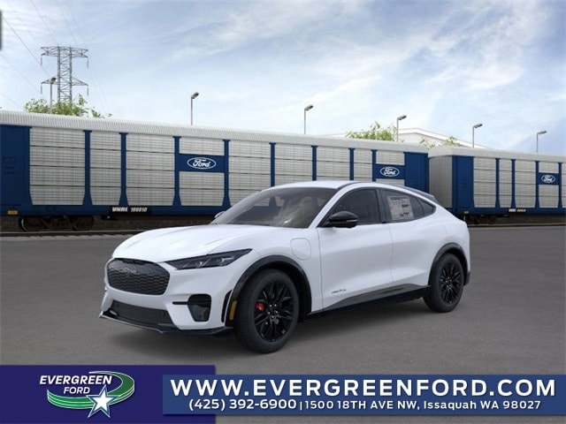 2025 Ford Mustang Mach-E Premium - Photo 23