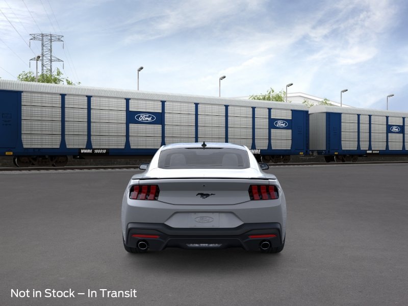 Mustang