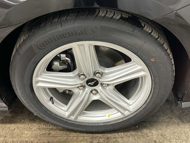 Thumbnail: 2026 Ford Mustang - 34