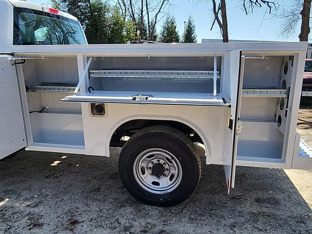 2025 Ford Super Duty F-250 SRW F-250 XL Truck Regular Cab