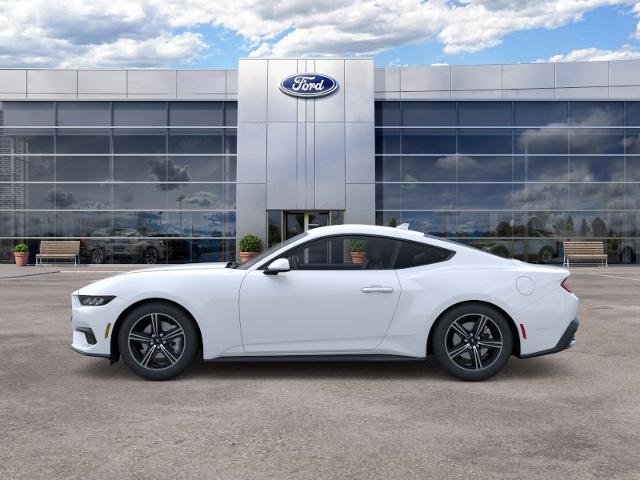 2025 Ford Mustang EcoBoost Fastback - Photo 9