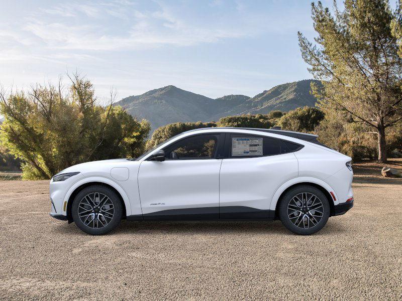 2025 Ford Mustang Mach-E Premium - Photo 25