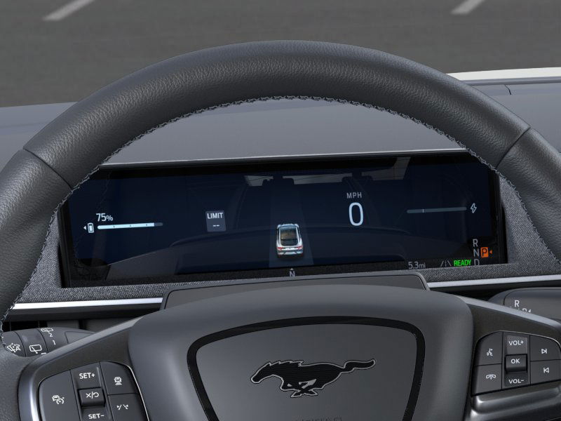 2025 Ford Mustang Mach-E GT - Photo 13