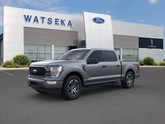 New 2022 Ford F-150 Crew Cab Pickup for Sale in Watseka, IL
