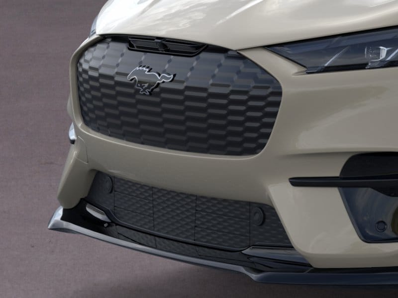 2025 Ford Mustang Mach-E GT - Photo 17