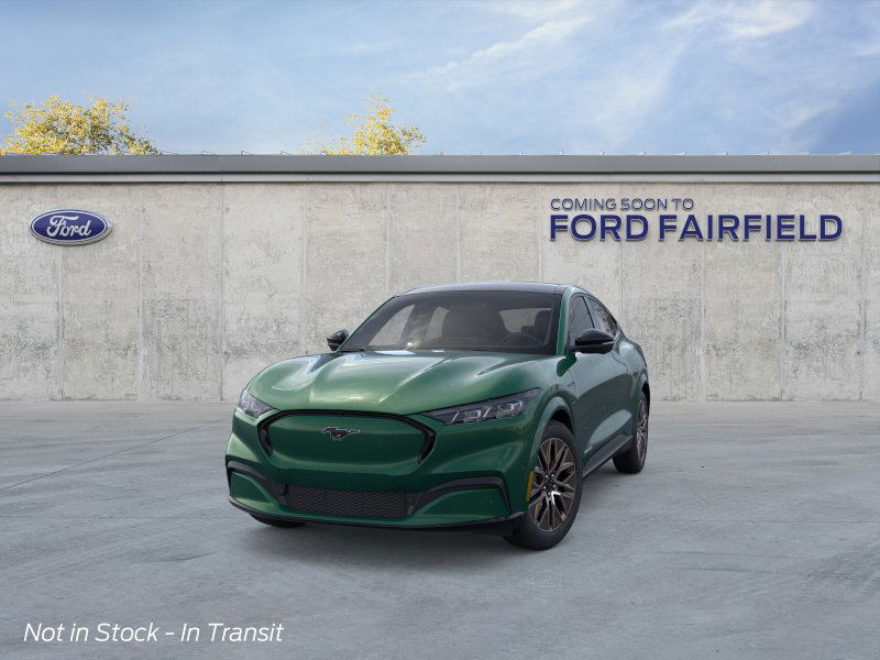 2025 Ford Mustang Mach-E Premium photo 2
