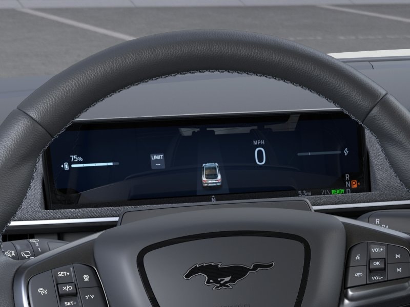 2025 Ford Mustang Mach-E GT - Photo 13