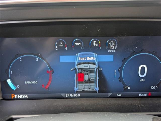 2025 Ford F-250 Platinum photo 9