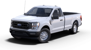 New 2023 Ford F-150 XL TRUCK in Nederland