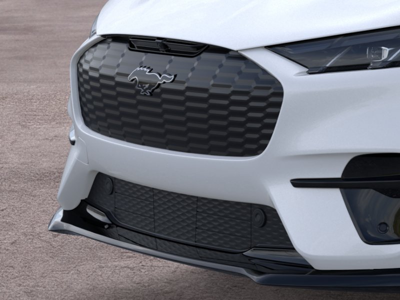 2025 Ford Mustang Mach-E GT - Photo 36