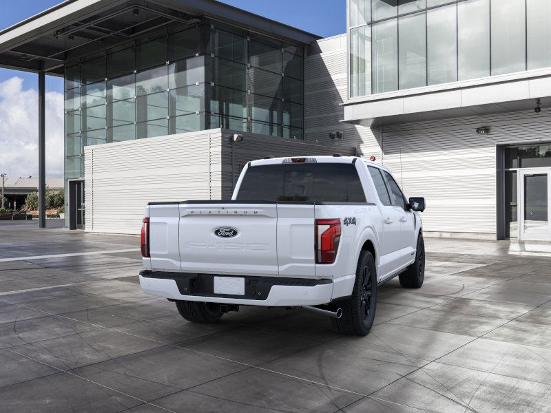 2025 Ford F-150 Platinum 30