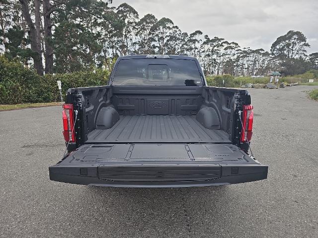 2025 Ford F-150 Raptor - Photo 32