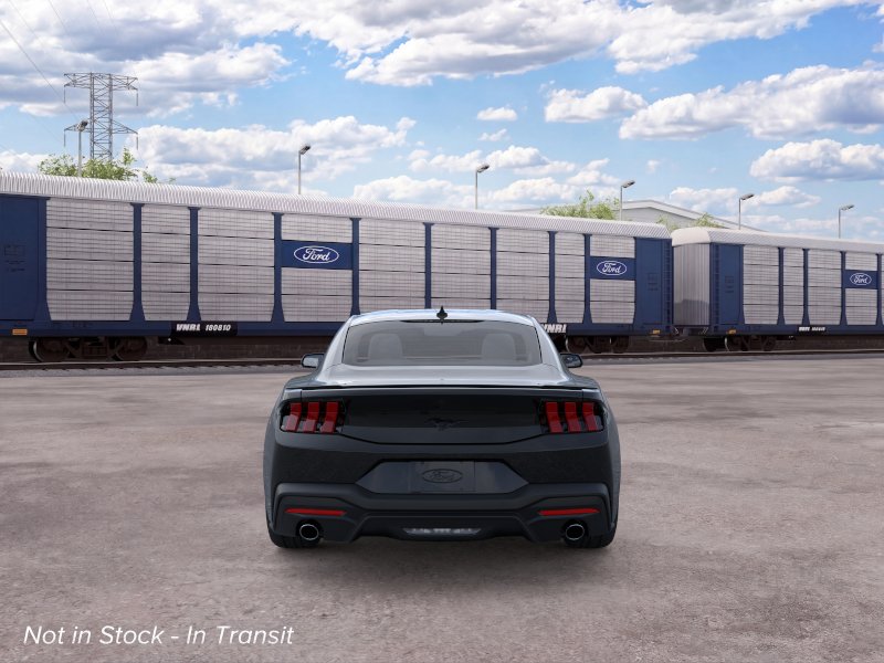 Mustang