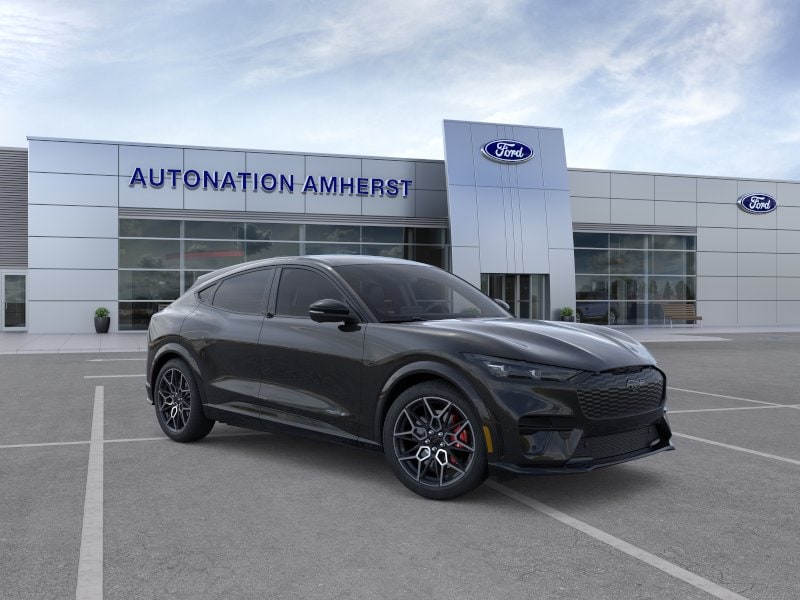 2025 Ford Mustang Mach-E GT - Photo 7