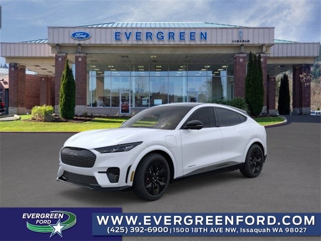 2025 Ford Mustang Mach-E GT - Photo 23