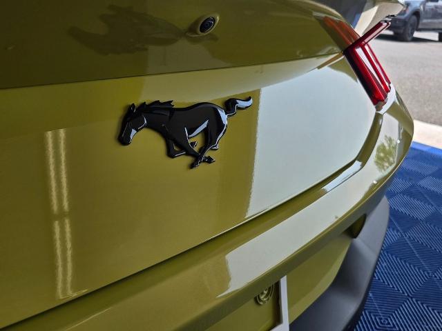 2025 Ford Mustang EcoBoost Premium Fastback - Photo 44