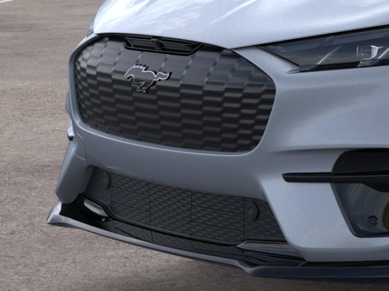 2025 Ford Mustang Mach-E GT - Photo 17