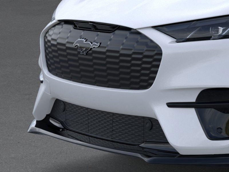2025 Ford Mustang Mach-E GT photo 18