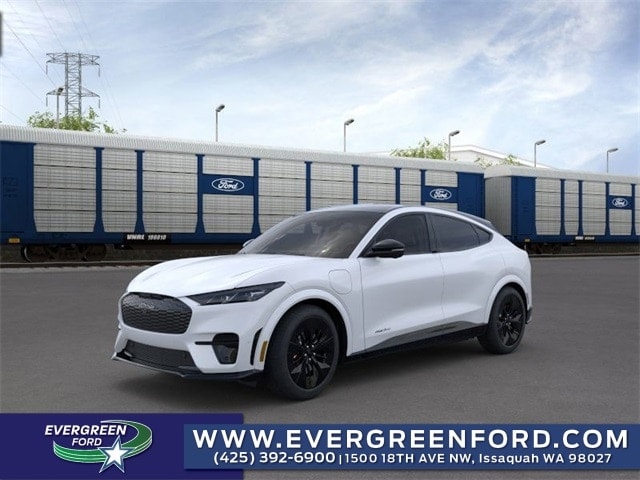 2025 Ford Mustang Mach-E GT - Photo 23