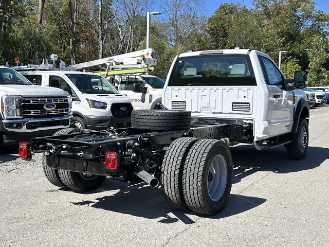 Thumbnail: 2026 Ford  - 50