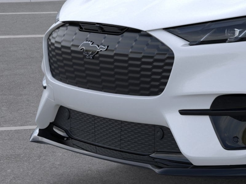 2025 Ford Mustang Mach-E GT - Photo 17