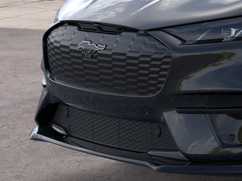 2025 Ford Mustang Mach-E GT - Photo 17