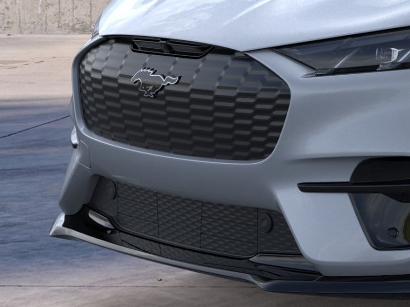 2025 Ford Mustang Mach-E GT AWD - Photo 17