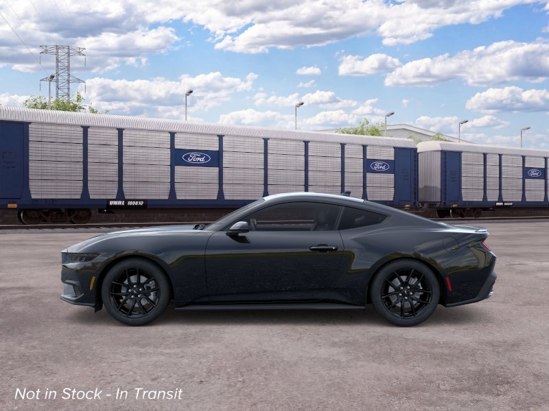 Mustang