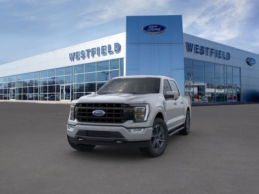 Limited to King Ranch - Need Stone Grey Vinyl Wrap - HELP - Ford