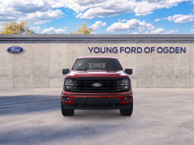 2025 Ford F-150 XLT - Photo 6