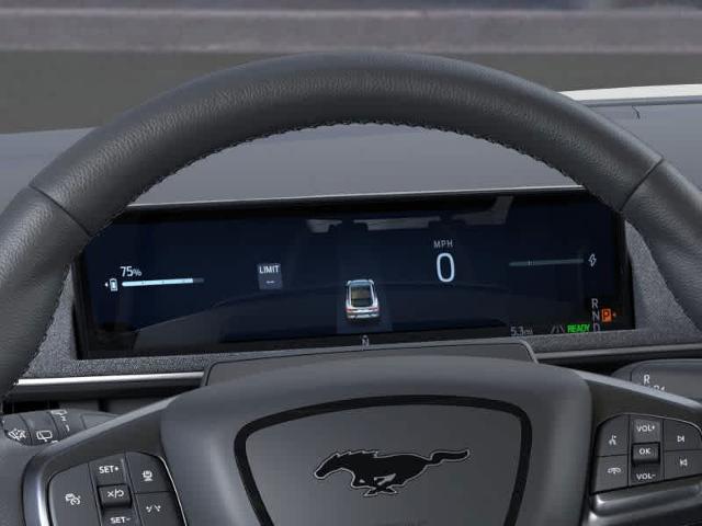 Thumbnail: 2025 Ford Mustang Mach-E - 35