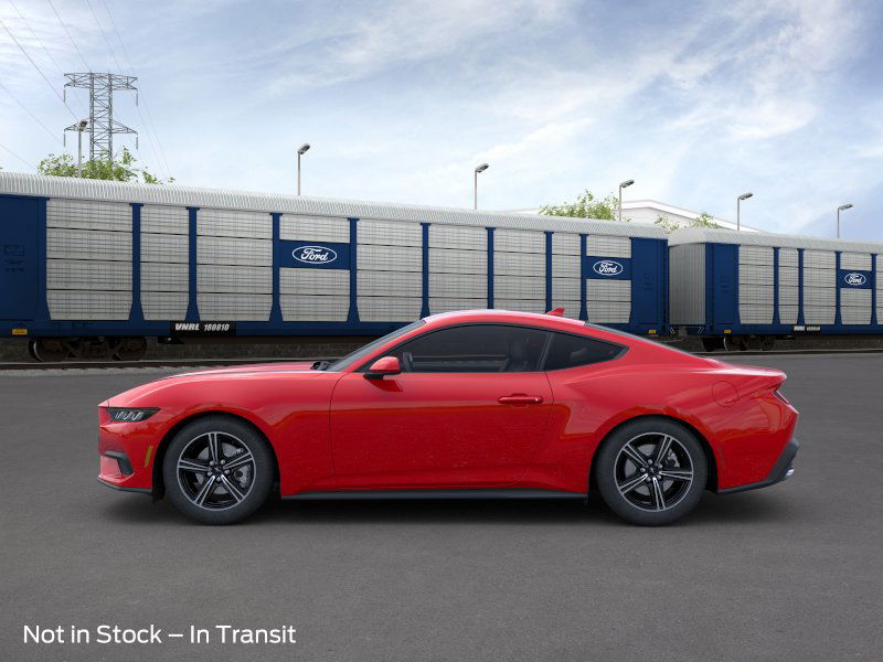 2025 Ford Mustang EcoBoost photo 3
