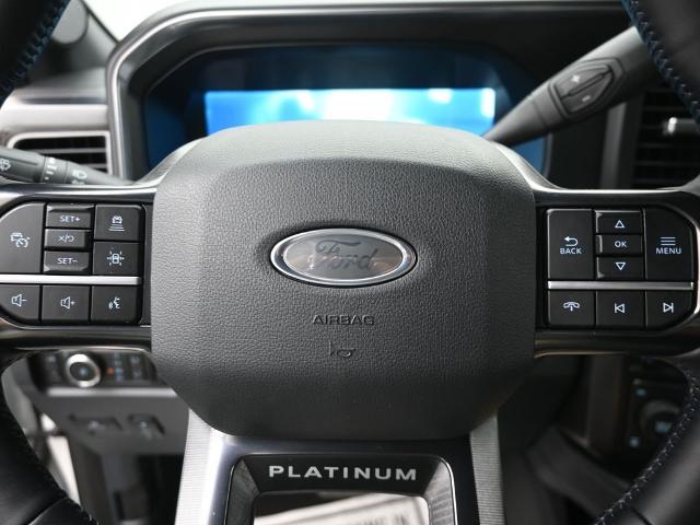 2025 Ford F-250 Super Duty Platinum - Photo 56
