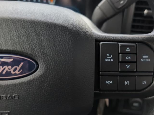 new 2025 Ford F-150 car, priced at $39,056