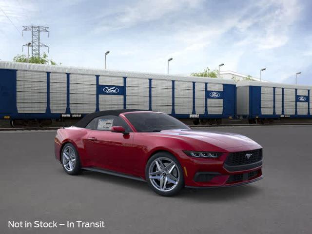 Thumbnail: 2025 Ford Mustang - 29