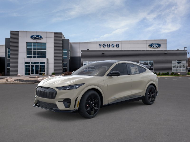 2025 Ford Mustang-Mach-e GT's photo