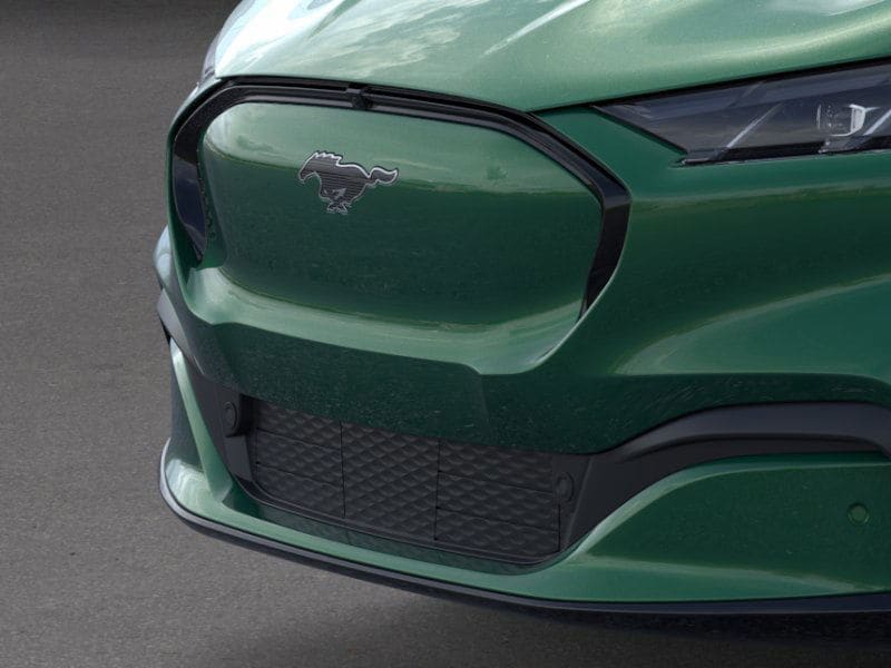 2025 Ford Mustang Mach-E Premium - Photo 27