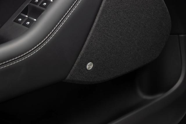 2025 Ford Mustang Mach-E Premium - Photo 34