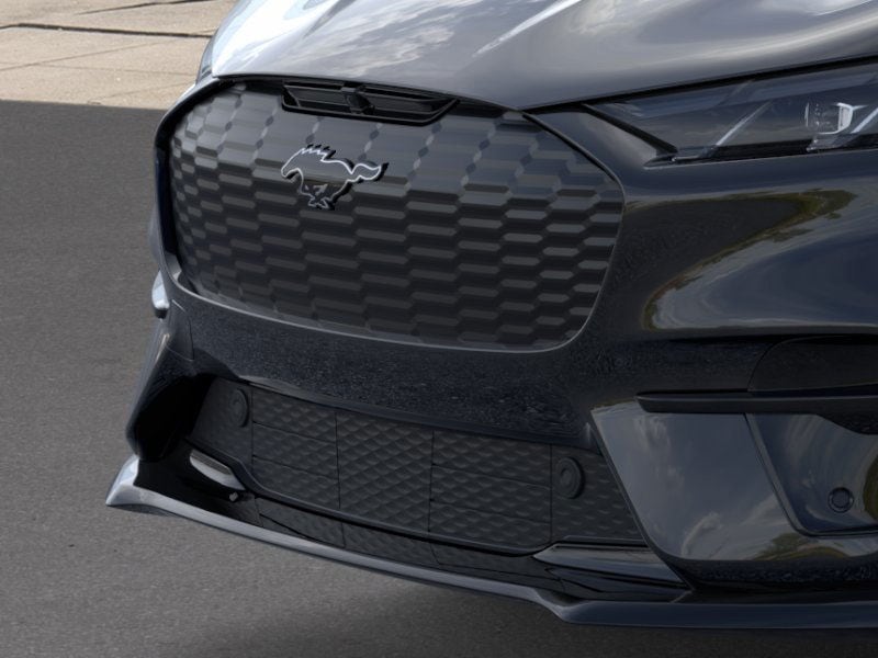 2025 Ford Mustang Mach-E GT - Photo 17