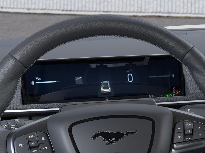 2025 Ford Mustang Mach-E GT - Photo 13