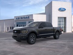 2025 Ford F-150 STX Truck