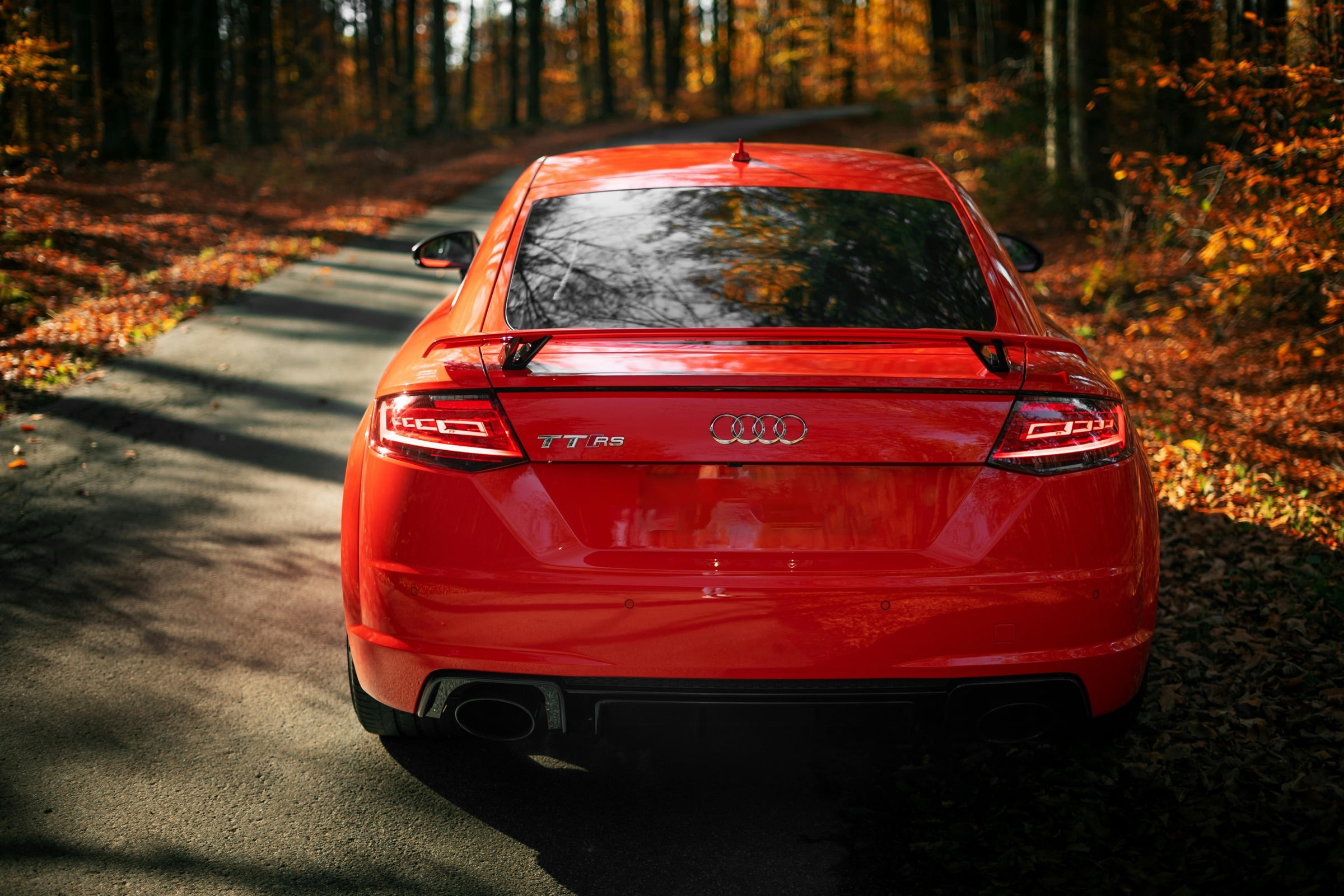 Audi TT RS sur une route en foret.